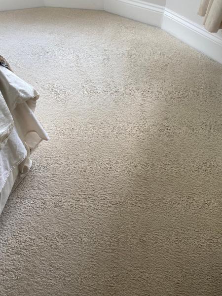 Hampshire Express Carpet Cleaning