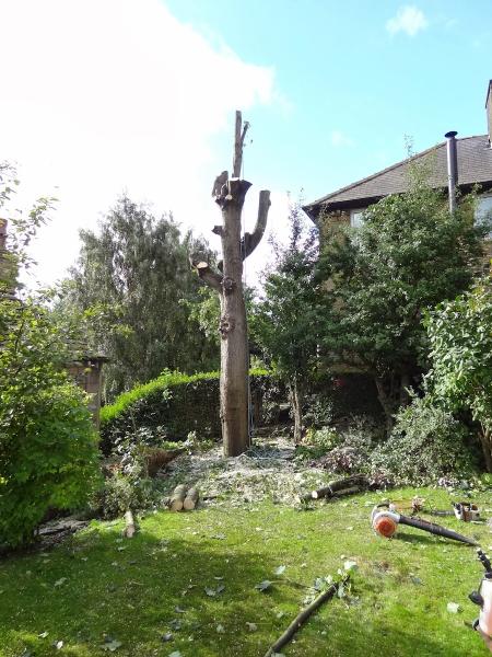 Holme Valley Tree Services