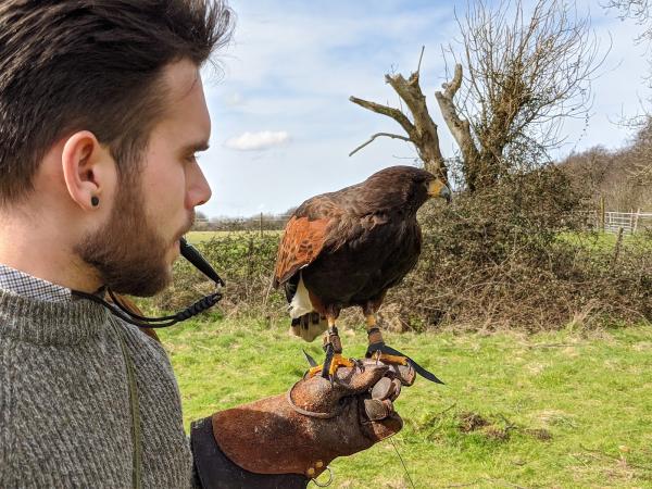 Raptor Pest Control