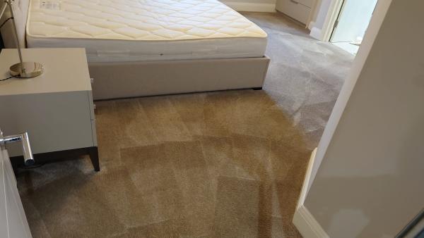 Nostains Carpet Cleaners