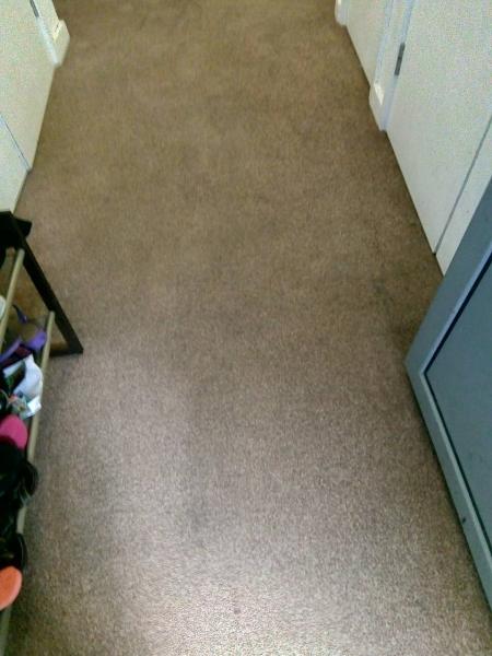 Carpet Cleaners Croydon