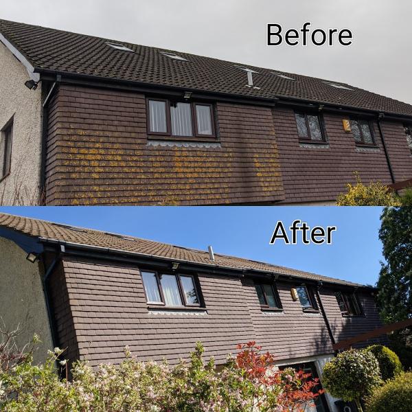 Blue Lagoon Softwash Roof and Exterior Cleaning