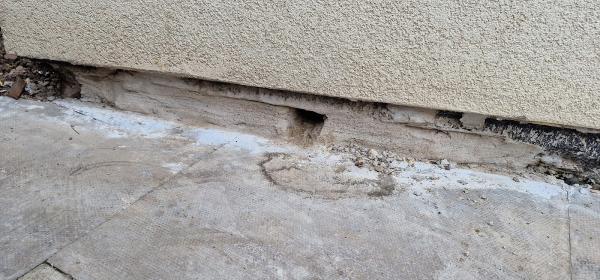 Pestway Services Ltd