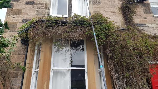 DG Window Cleaning