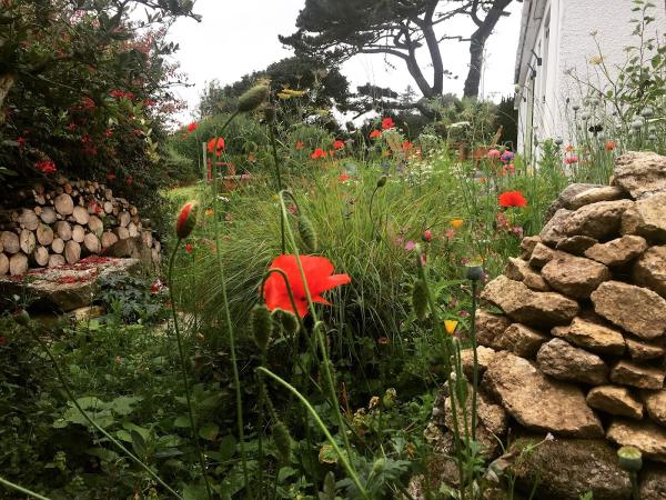 Sid Hill Ecological Gardens