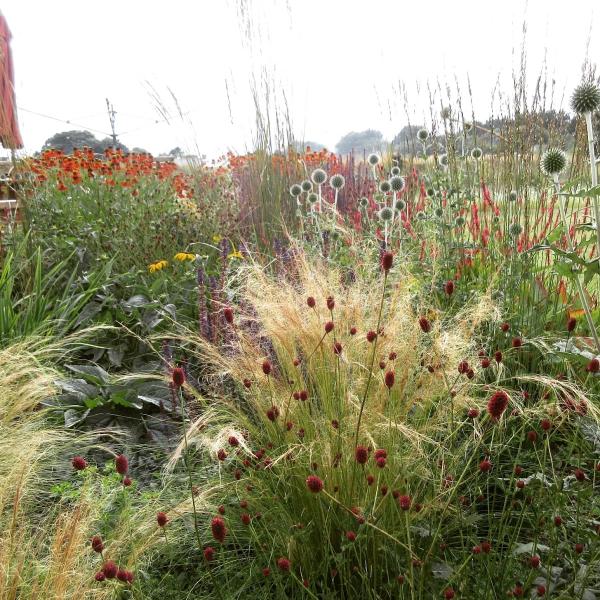 Sid Hill Ecological Gardens