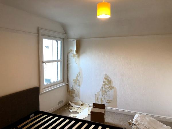 Surrey Spray & Decorating Services