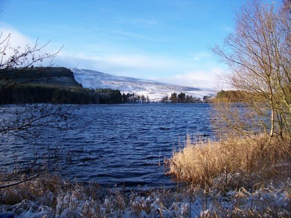 Kielder Chimney Sweeps