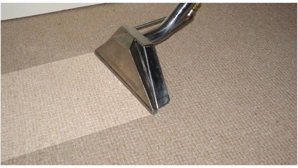 Lee Bassett Carpet and Upholstery Cleaning