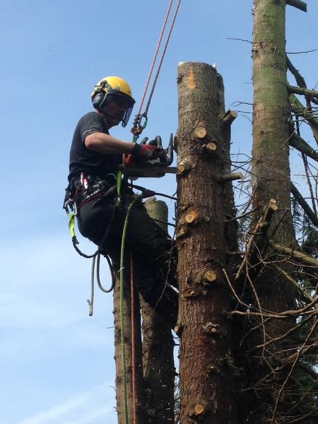 Grampian Tree Services