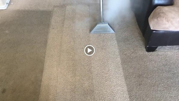 North Carpet Cleaning