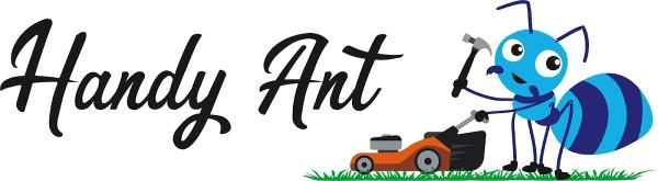 Handy Ant Kent