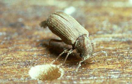 Martin Property Care Ltd