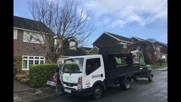 Cardiff Tree Surgery