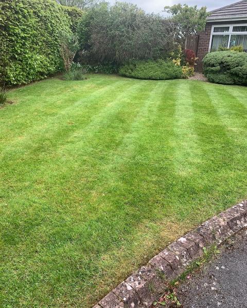 Maxwells Lawn Treatments and Grass Cutting Services