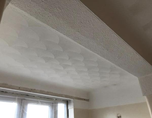 Stallion Plastering