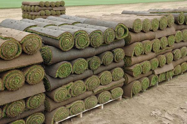 Country Gardens Turf Co