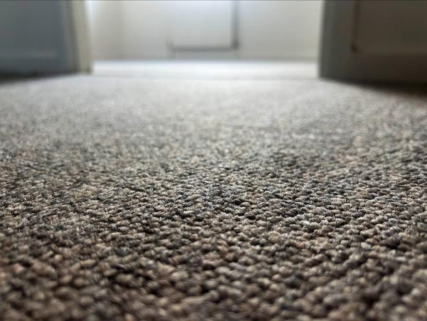 Christchurch Carpet Cleaners