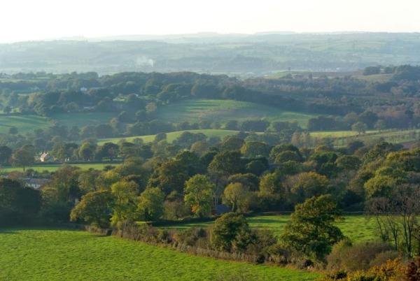 Blackdown Chimney Sweep