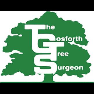 The Gosforth Tree Surgeon