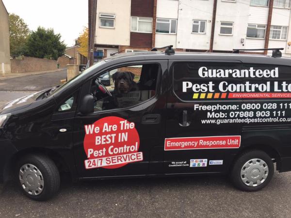 Guaranteed Pest Control Services London