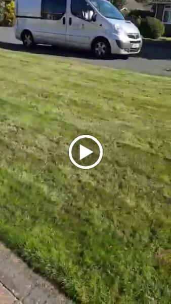 Lawnright Lawn Treatment Service
