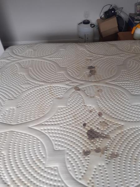 New Clean Lincolnshire Ltd