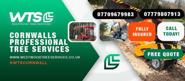 Westwood Tree Services Ltd