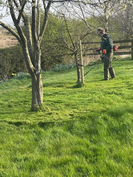 Lawn Mowing Stafford