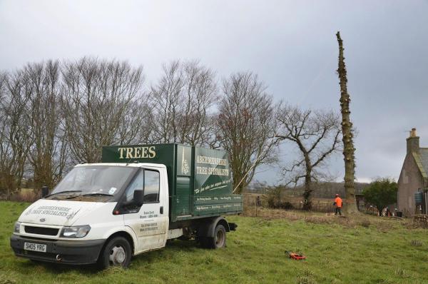 Aberdeenshire Tree Specialist