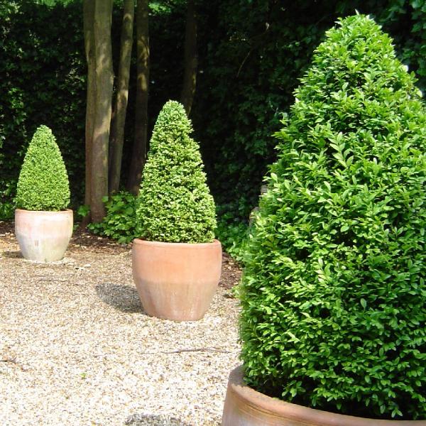Paul Stevens Garden Design