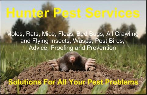 Hunter Pest Services