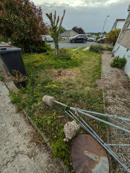 Bulldog Stump Grinding & Wood Chipping (Logs For Sale)