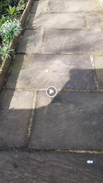 Gad Pressure Washing