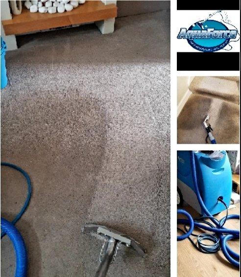 Aquaforce Carpet & Upholstery Cleaning Specialists