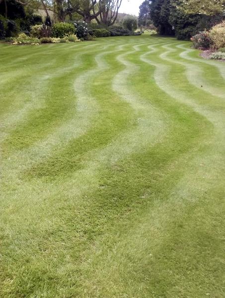 Lawn Care Hull