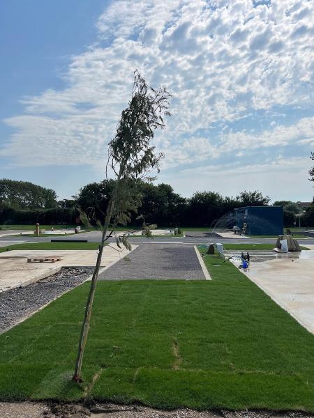 New Lawns
