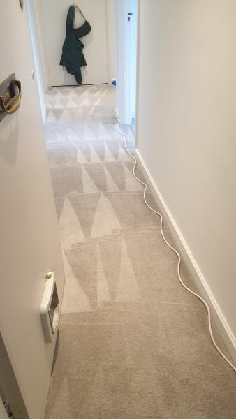 MML Carpet Cleaning