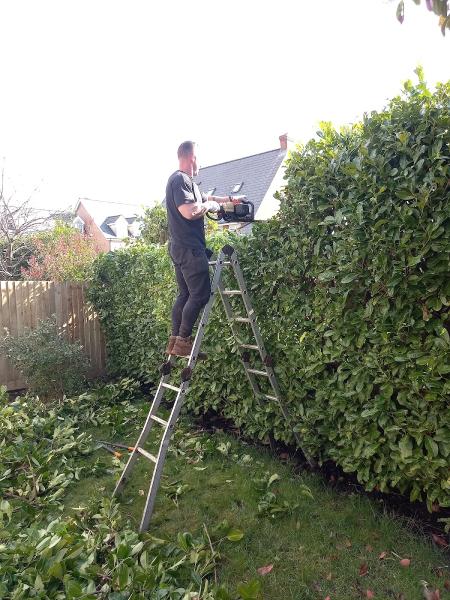 James Ashley Gardening