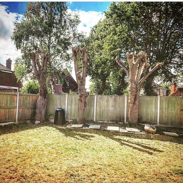 Finch Tree Surgery & Fencing