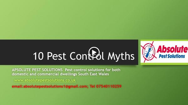 Absolute Pest Solutions Wales