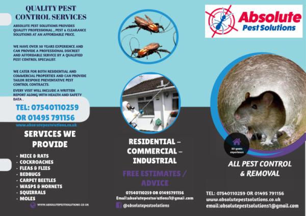 Absolute Pest Solutions Wales