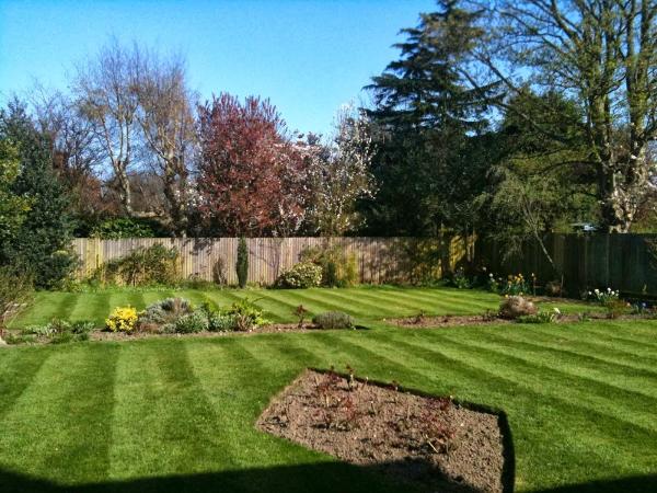 From Weeds 2 Trees Ltd