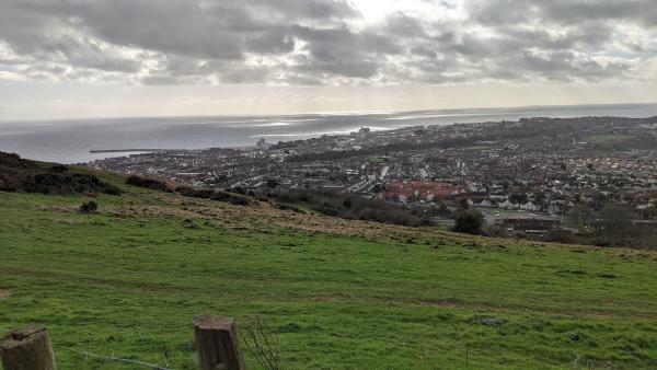 From Weeds 2 Trees Ltd