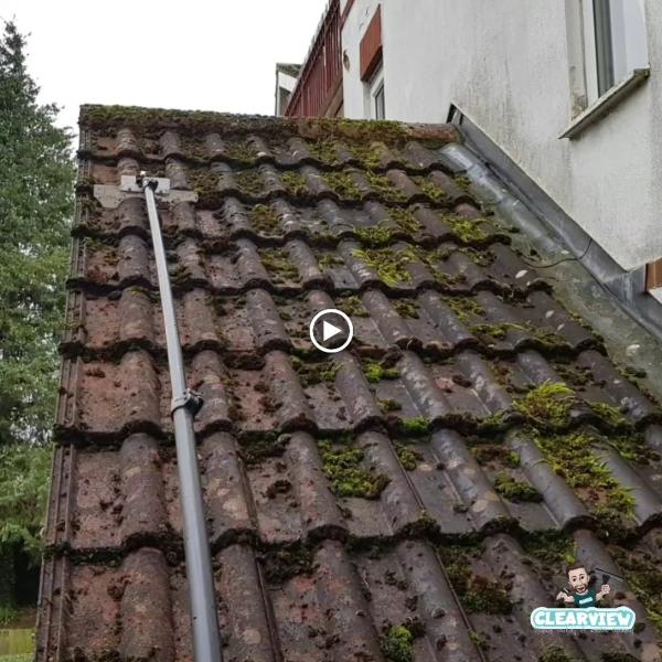 Clearview Roof Cleaning & Moss Removal