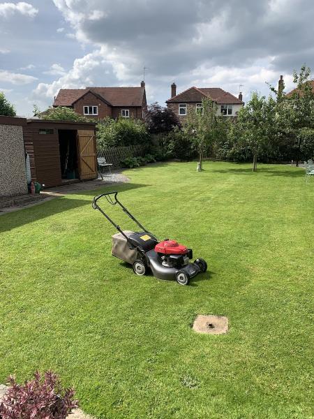 Kings Grass Cutting Service