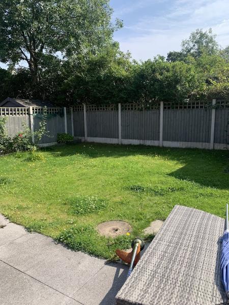 Kings Grass Cutting Service