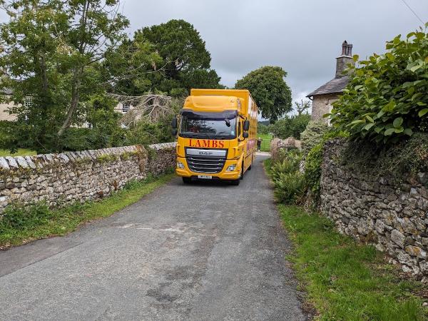 Lambs Removals and Storage