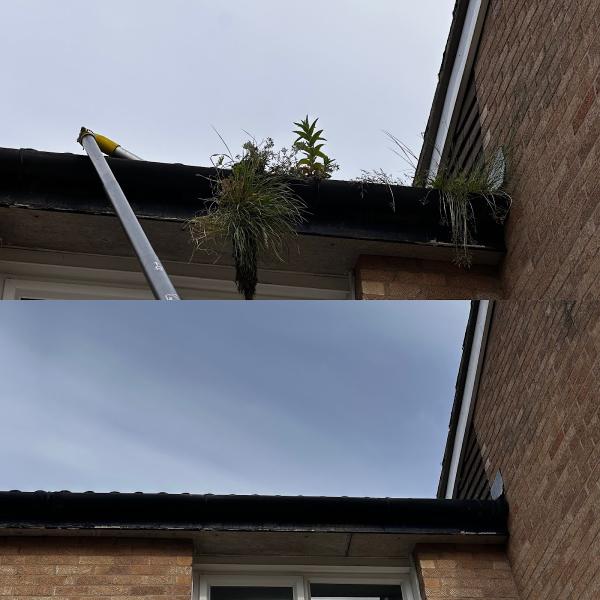 Empty Gutters & Window Cleaning