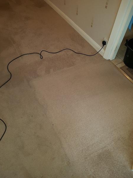 Supreme Carpet Cleaning